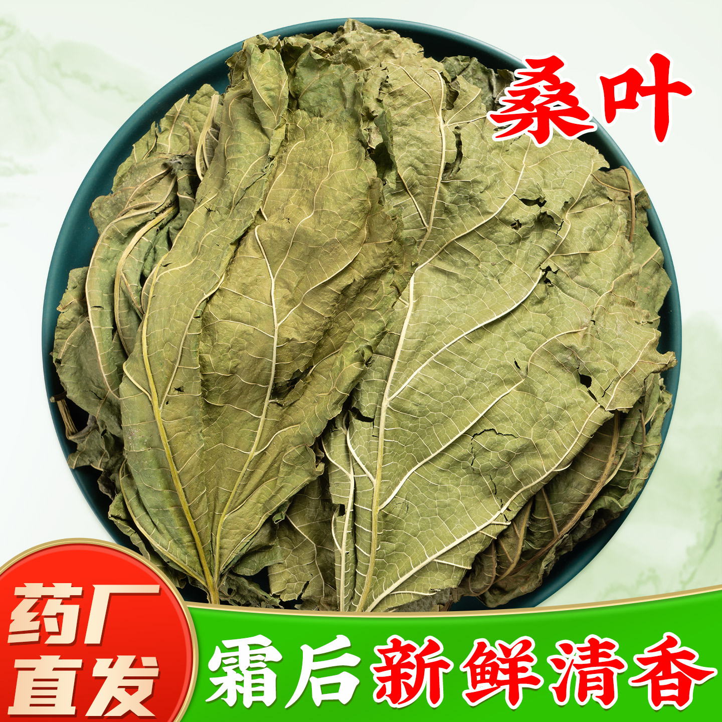 野生桑叶中药材官方旗舰店正品 霜桑叶新鲜桑叶干中草药材