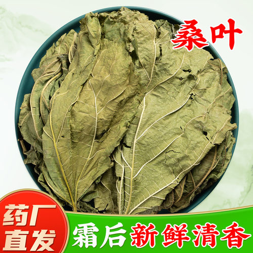 【野生霜桑叶中药材】药厂直销