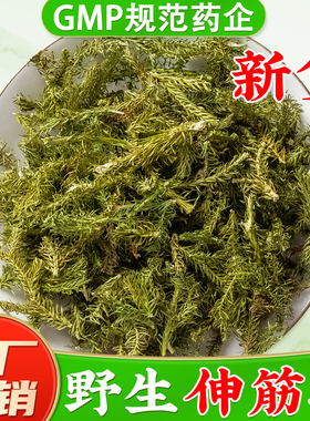 野生新货 伸筋草中药材旗舰店正品 非小伸筋草透骨草远志益智仁