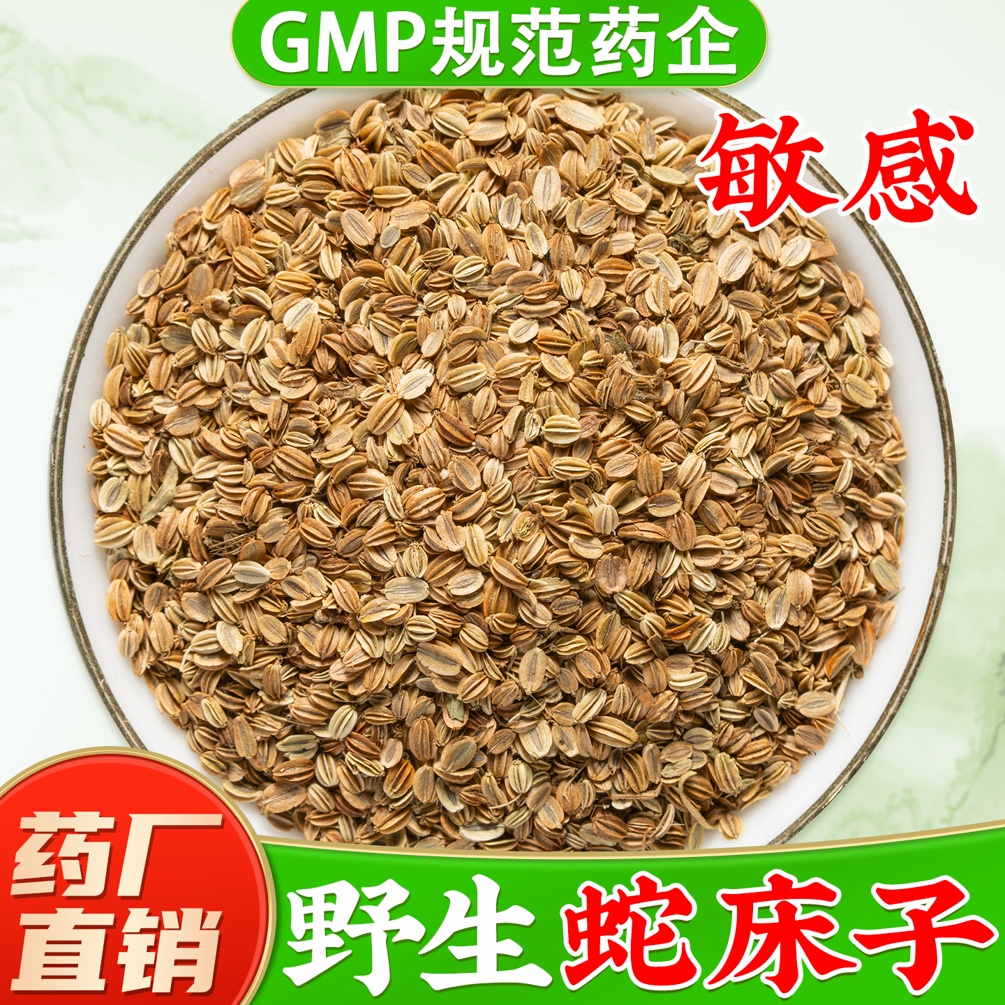 【野生蛇床子中药材】药厂直销