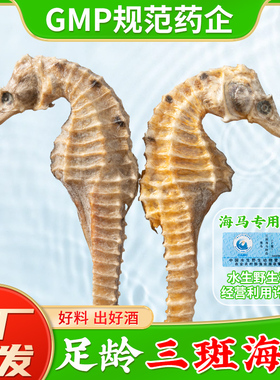 三斑海马中药材官方旗舰店干海马一公一母海马干货一对泡酒料煲汤