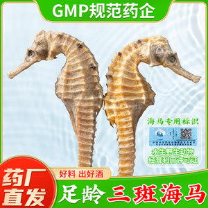 三斑海马中药材官方旗舰店干海马一公一母海马干货一对泡酒料煲汤