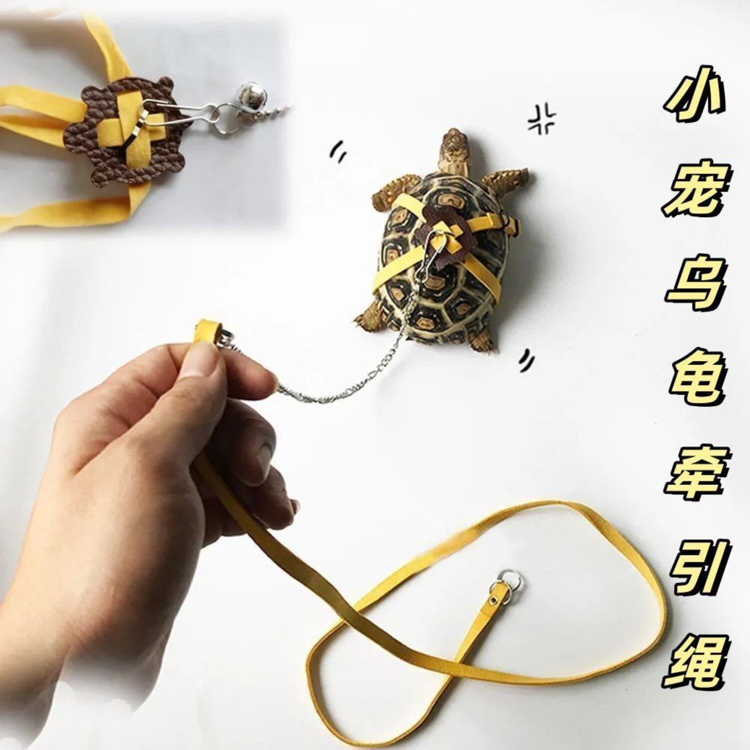 小宠乌龟陆龟鳖牵引绳外出牵引带皮质爬宠蜥蜴牵引绳溜龟训练绳