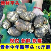 贵州芋头牛奶小芋头现挖新鲜芋艿香芋小毛芋头芋儿仔芋非山东芋头