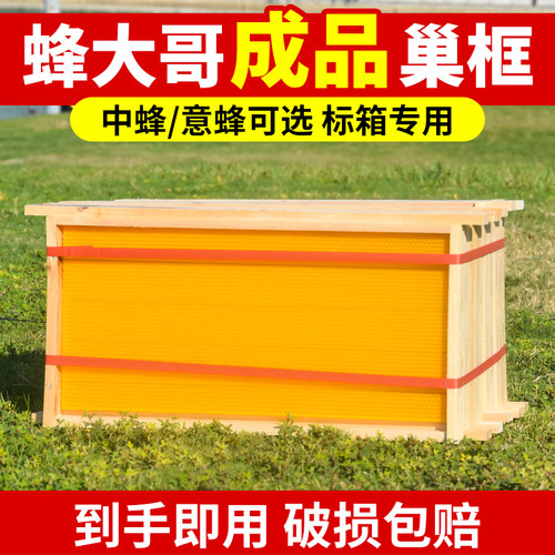 蜂大哥成品巢框中蜂标准蜜蜂专用上钢丝带巢础铜眼十框七框专用