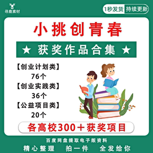 大学生创新创业挑战杯小挑创青春大赛获奖作品合集商业计划书模板