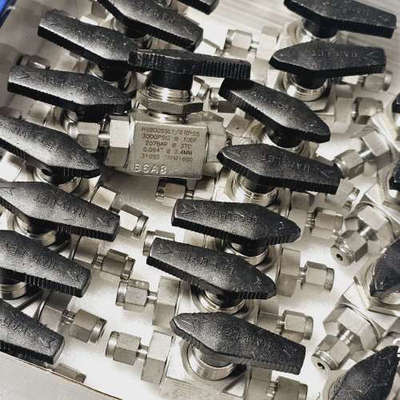 议价-HAM-LET哈姆雷特H6800SSL1/8RPSS球阀 1