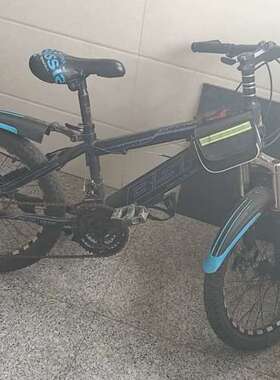 议价-BSA山地自行车，黑色车身配蓝色装饰条，前后碟刹，。车况很