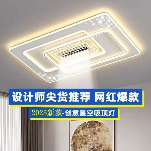 2025新款客厅灯创意个性艺术灯