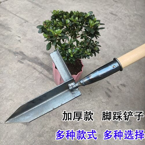 脚踩铲子蒲公英根铁锹园艺野菜黄黄花家用种菜施肥压树枝专用工具