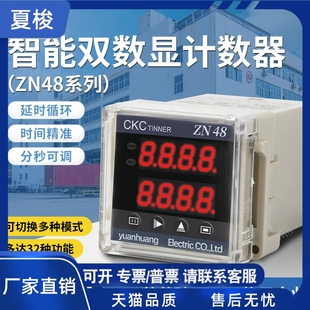 ZN48计数器 时间继电器 累时器 转速表频率计多功能计测器 220V