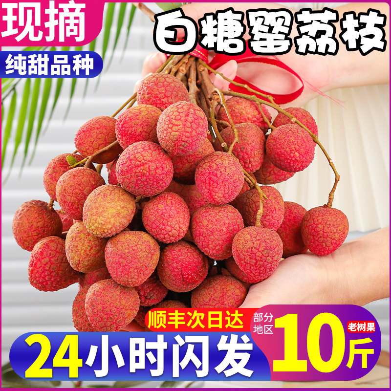 顺丰送货上门!超甜的白糖罂荔枝