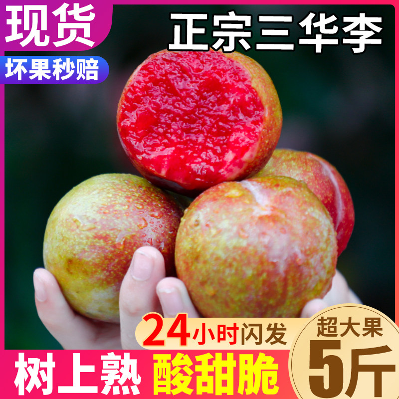 顺丰现货 5斤红心三华李新鲜现摘李子三月水果应季孕妇整箱包邮