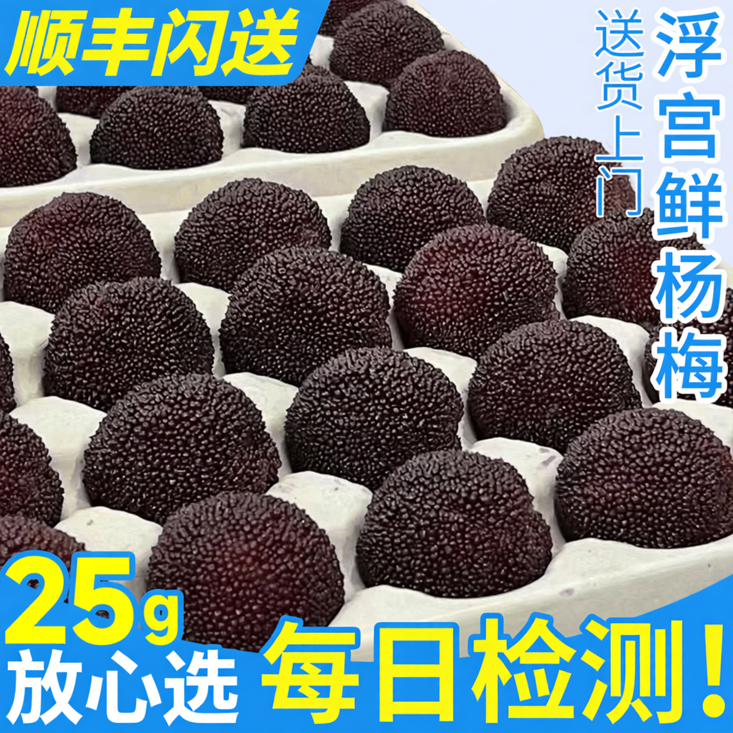 顺丰浮宫正宗杨梅鲜果颗粒装 福建漳州新鲜现摘当季水果整箱包邮