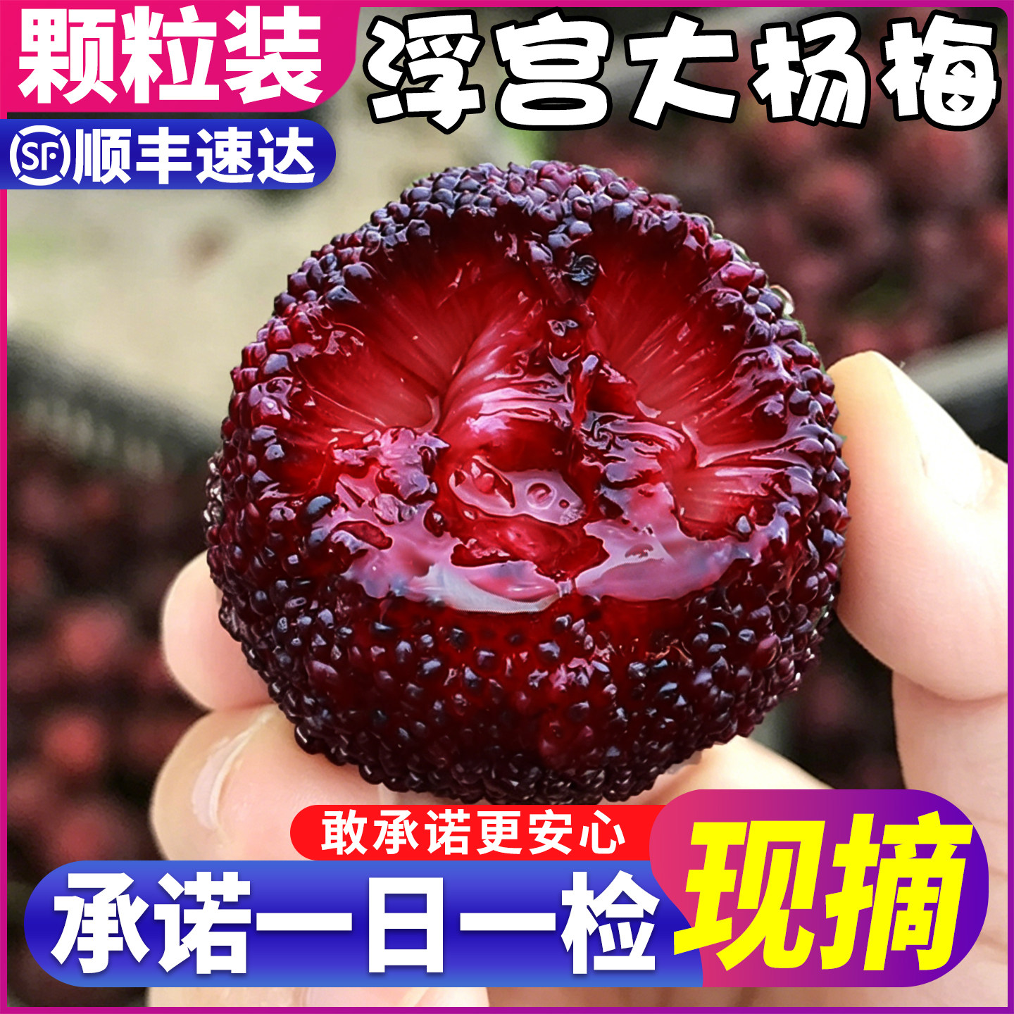 顺丰 浮宫正宗杨梅鲜果杨梅新鲜现摘5斤当季水果魁东居仙整箱包邮