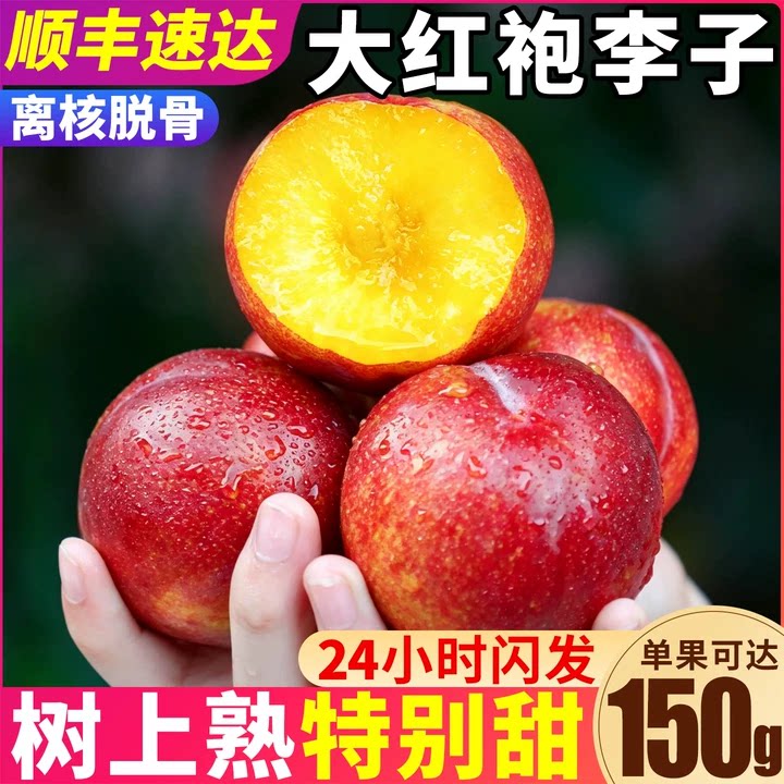 顺丰速达|树上熟大红袍李子5斤
