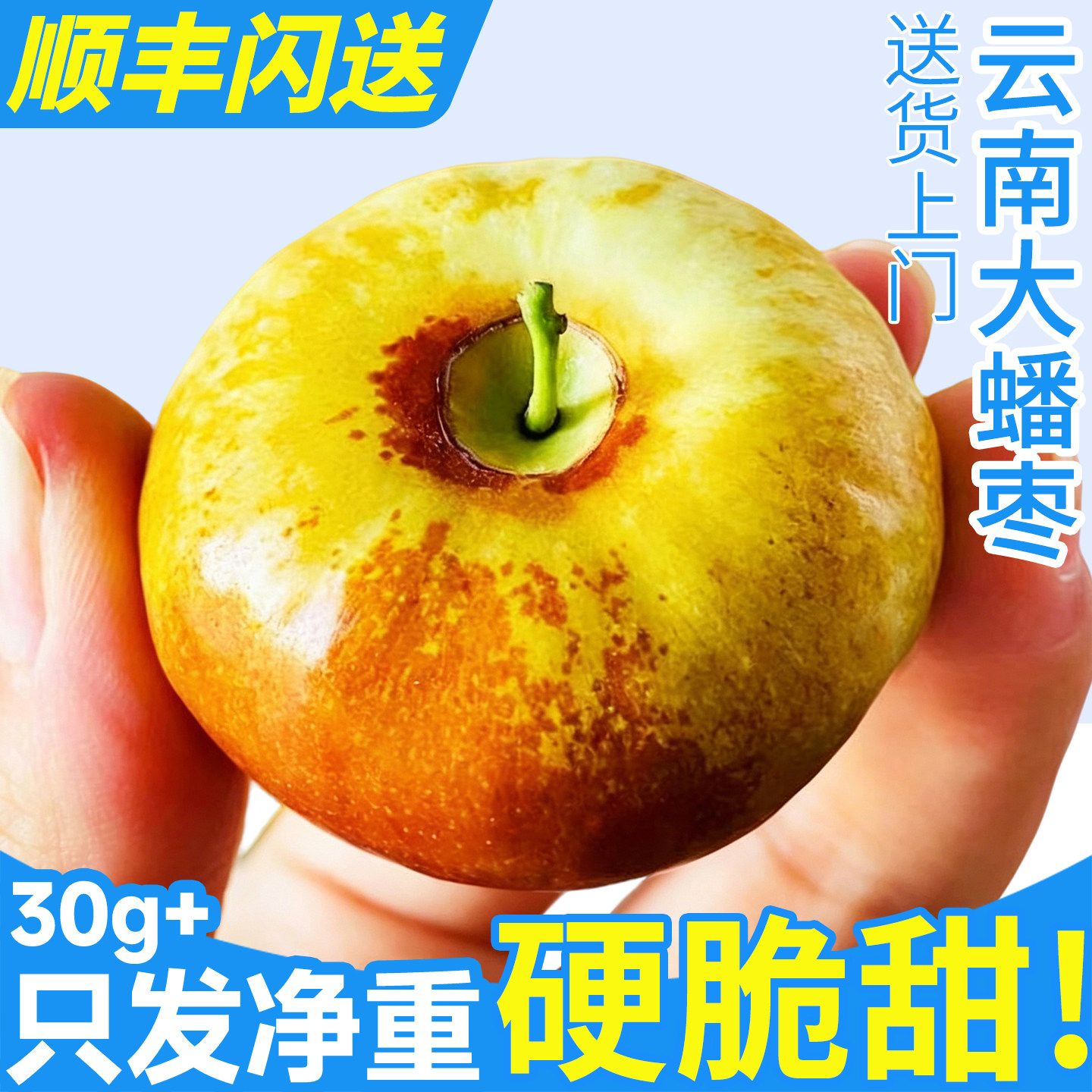富豪最爱!顺丰净重树上熟大蟠枣