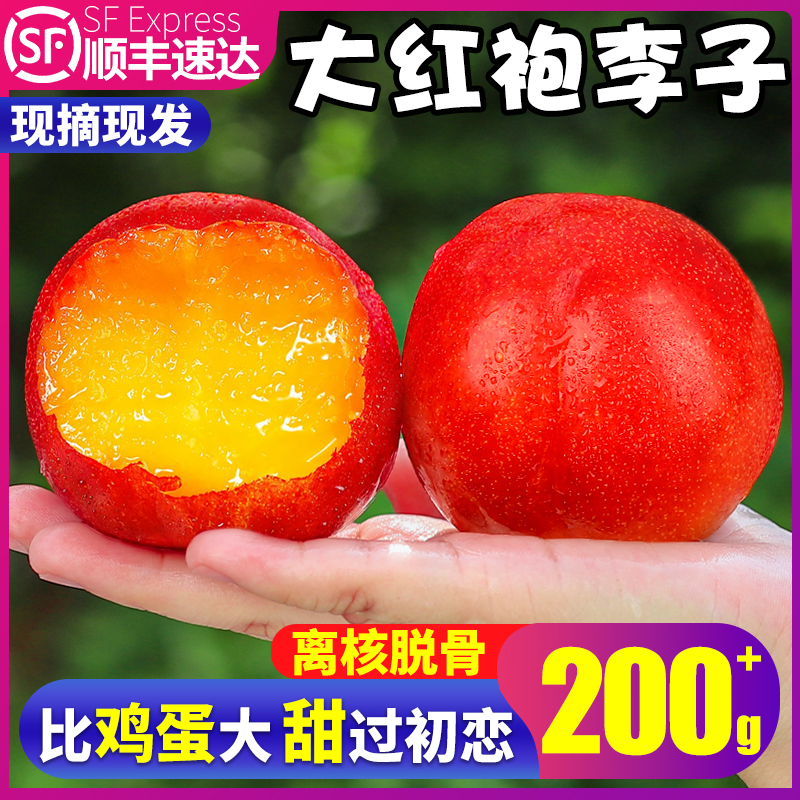 比鸡蛋大!甜过初恋!大红袍李顺丰