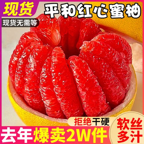 现货！福建平和红心柚礼盒装