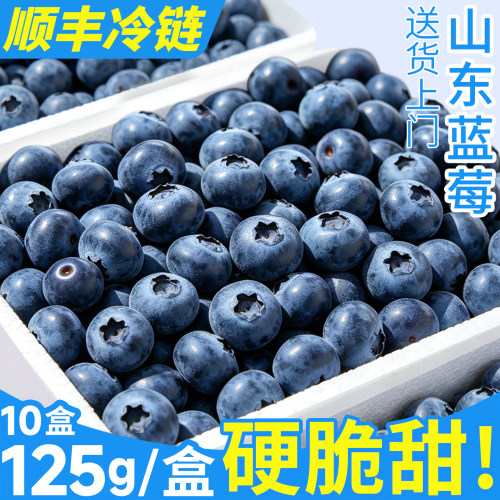 顺丰【125G/盒】大蓝莓王吃个爽