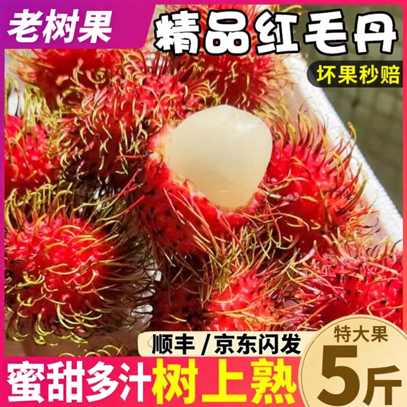 5斤精品海南红毛丹整箱顺丰包邮