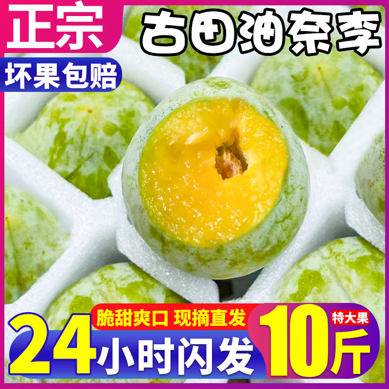 10斤正宗古田油奈李老树大果160g
