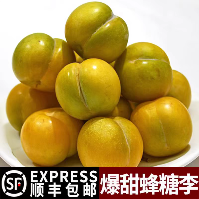 顺丰空运贵州蜂糖李六马新鲜水果当季冰糖李现摘现发孕妇脆甜李子