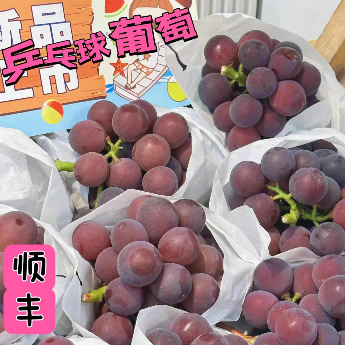 藤稔葡萄新鲜乒乓球东北葡萄当季大颗粒玫瑰孕妇水果颗粒装顺丰