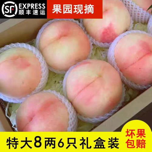 顺丰现摘水蜜桃新鲜特大大桃9枚礼盒装送礼