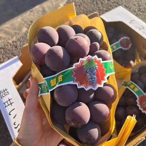 巨峰葡萄日本品种巨峰天香猫眼无籽紫提黑提乒乓香甜大颗粒装
