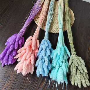 宝石草干花永生花花束室内客厅摆件饰品diy手工材料真花天然风干