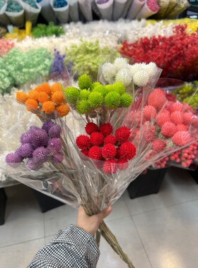 干花永生花千日红永生花草莓果高颜值花束花艺造型手工DIY花材