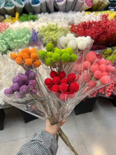 干花永生花千日红永生花草莓果高颜值花束花艺造型手工DIY花材