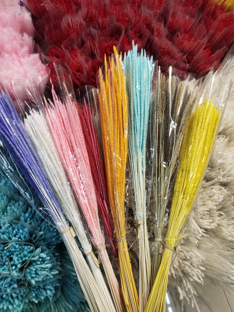 麒麟草干花永生花花艺造型插花手工diy花材材料昆明直发