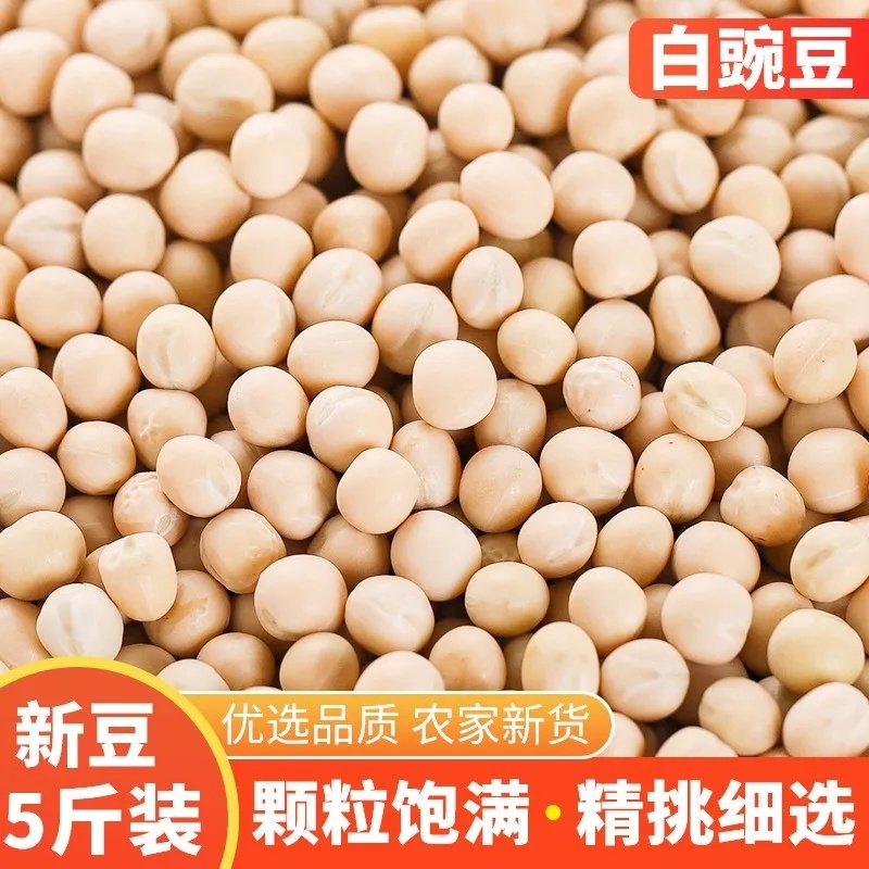 粗粮生豌豆黄豌豆新鲜碗豆散装装杂粮干豌豆粒做豌杂面的油炸豆子