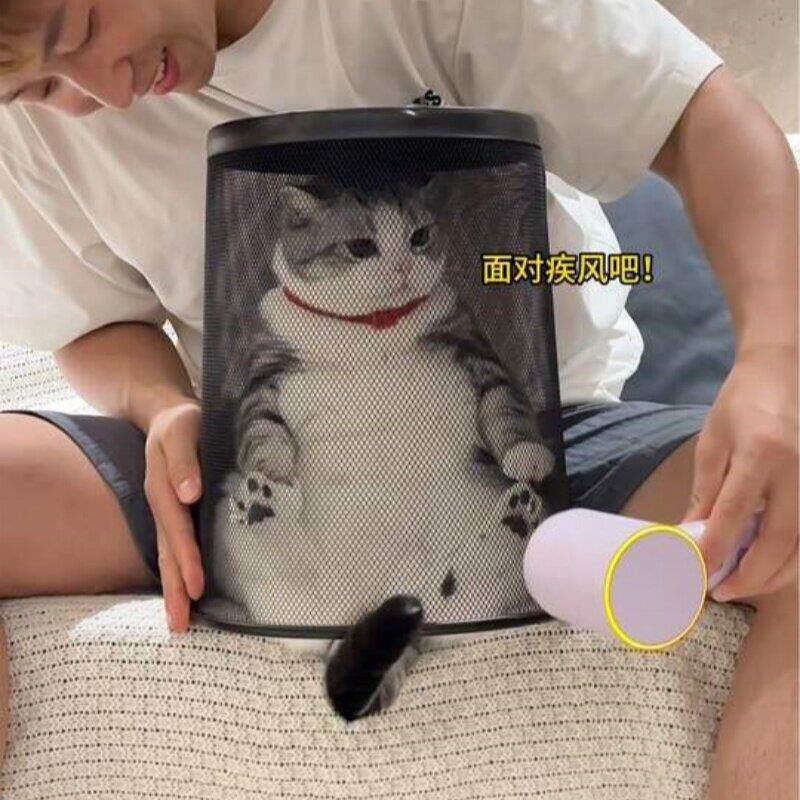 小猫洗澡烘干机便携款可折叠烘干箱防抓咬吹干逃家用神器平替猫咪