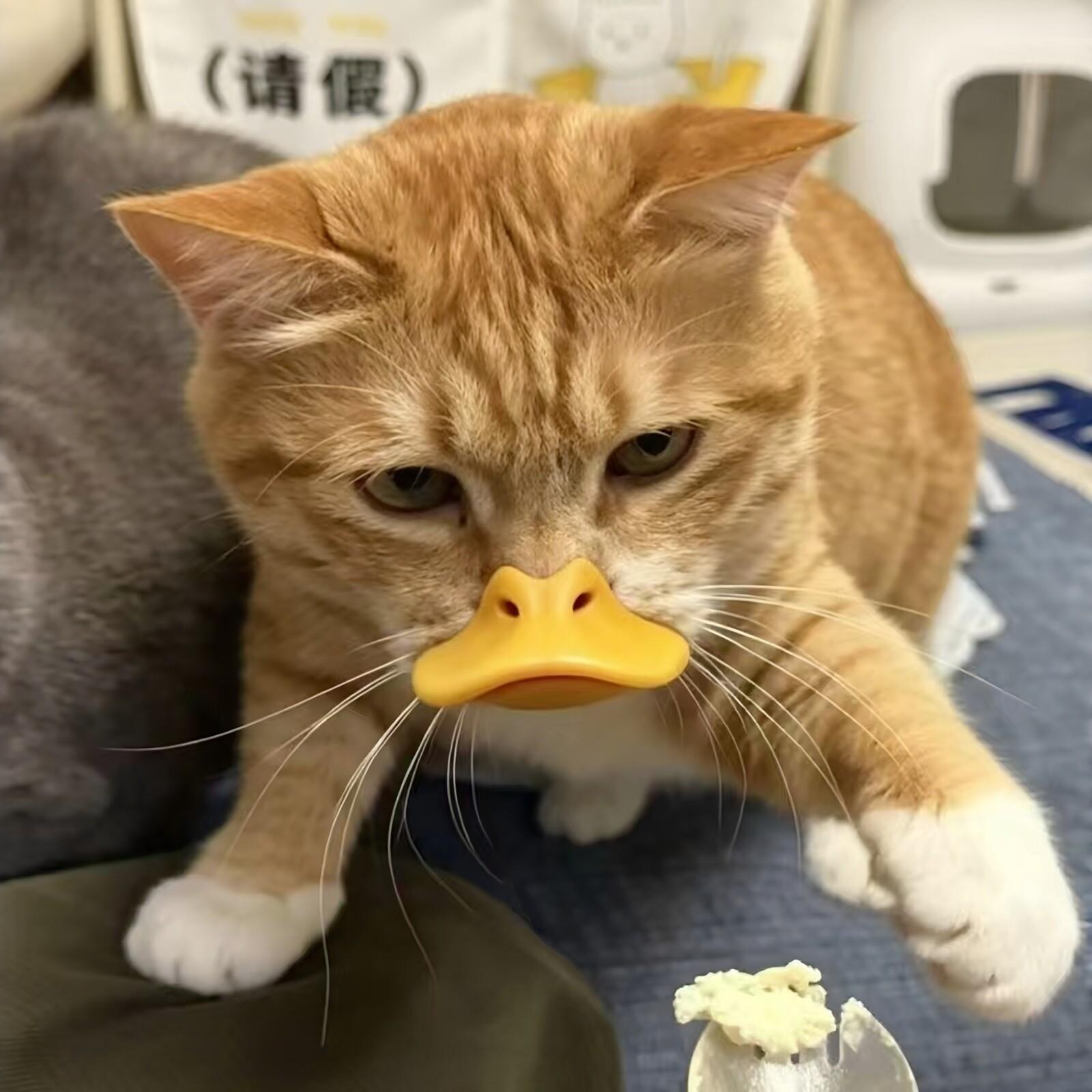 猫咪鸭嘴套防乱咬防误食宠物硅胶口罩小型犬牢固不掉透气止吠神器