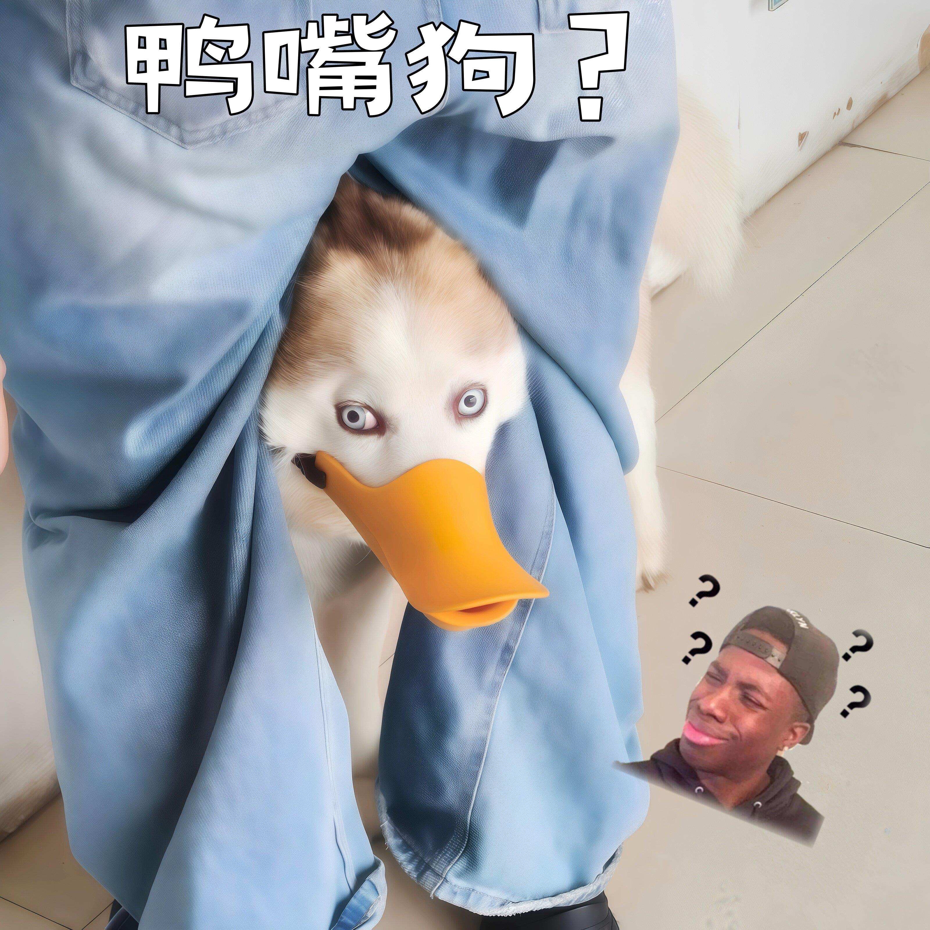 【家有鸭嘴狗】小鸭子嘴套狗狗外出防叫防咬防乱吃神器绑带止咬器