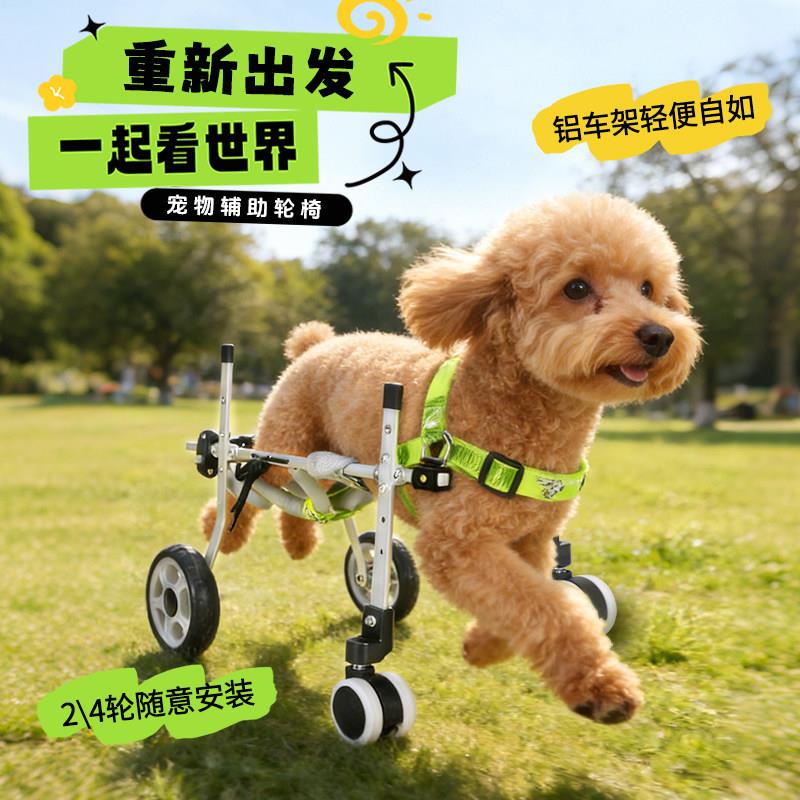 宠物后肢轮椅 四轮狗用代步车 老年狗助行器 可调式宠物轮椅