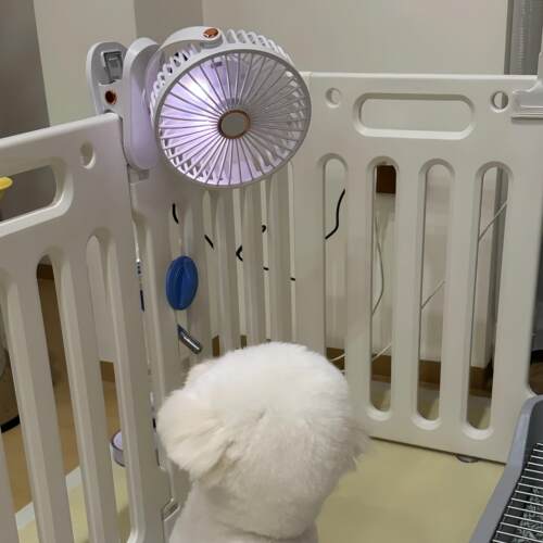 宠物风扇夏天降温神器狗狗猫咪专用小型空调扇制冷散热充电电风扇