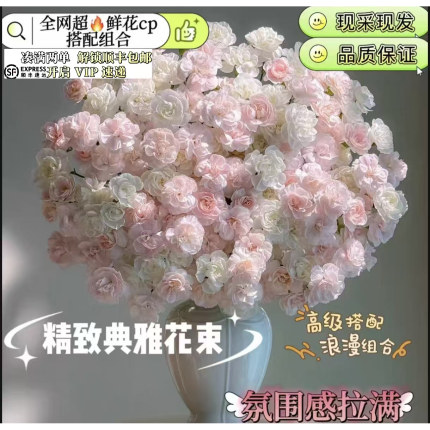 多头康乃馨鲜花花束速递高级感浪漫搭配组合小众高级感基地直发