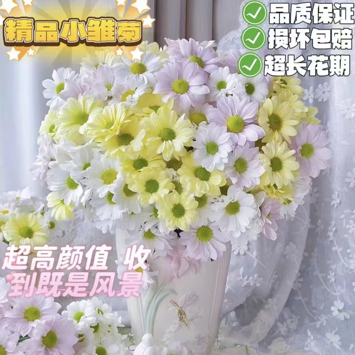 云南多头鲜花小雏菊鲜花网红