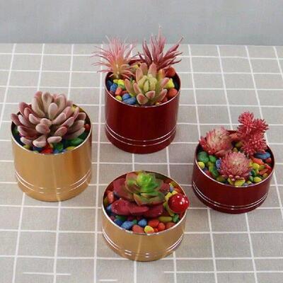 Creative Multicolor Succulents Flowerpot Aluminium Alloy