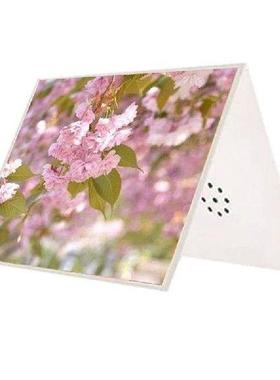 Talking Product, Writeable Greeting Card, 30 Seconds