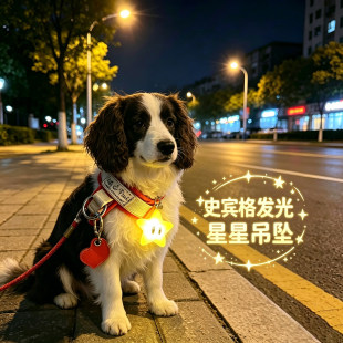 史宾格专用狗狗夜间发光吊坠项圈夜晚发光灯防走失遛狗夜行灯神器