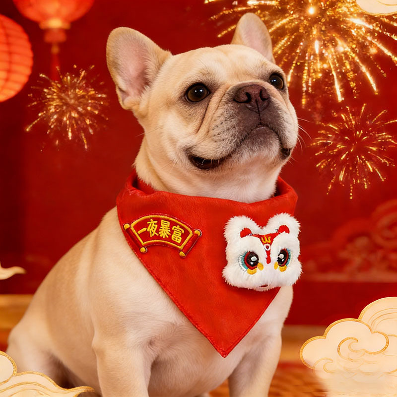 宠物狗狗新年围脖口水巾过年配饰喜庆装饰品围兜幼犬小狗,宠物/宠物食品及用品,围巾/口水巾,淘宝优惠券,粉丝福利购,淘宝优惠卷
