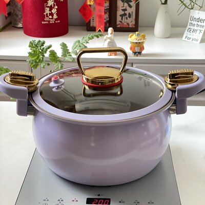 议价TIBORANG帝伯朗悦釜双耳微压汤锅，26cm宽口径，6L