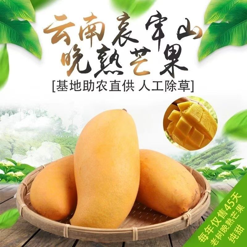 晚熟芒果云南镇沅景东晚芒纯甜香