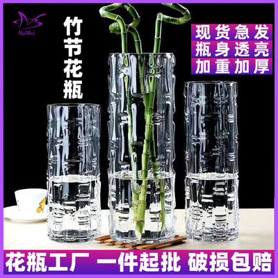 富贵竹花瓶专用透明玻璃轻奢高级感水培水养高落地摆件客厅插花大