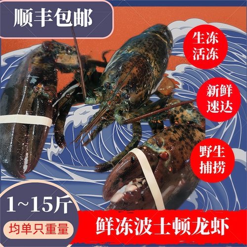 波士顿龙虾大波龙鲜冻海鲜速冻澳洲龙虾超大特大1只装1至10斤包邮 - 封面